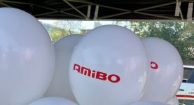 Amibo - części motoryzacyjne