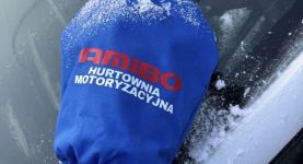 Amibo - części motoryzacyjne